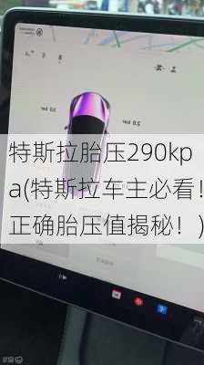 特斯拉胎压290kpa(特斯拉车主必看！正确胎压值揭秘！)-第3张图片-苏希特新能源