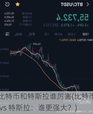 比特币和特斯拉谁厉害(比特币 vs 特斯拉：谁更强大？)