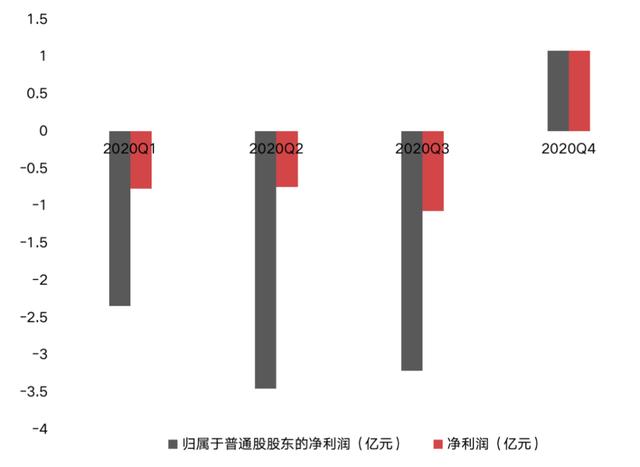 理想汽车每股净资产，理想汽车净利润）-第3张图片-苏希特新能源