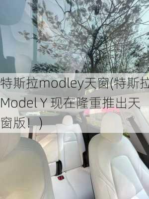 特斯拉modley天窗(特斯拉Model Y 现在隆重推出天窗版！)