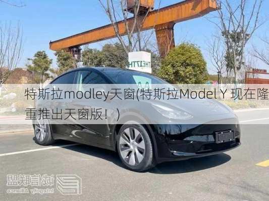 特斯拉modley天窗(特斯拉Model Y 现在隆重推出天窗版！)-第2张图片-苏希特新能源