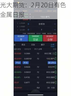 光大期货：2月20日有色金属日报