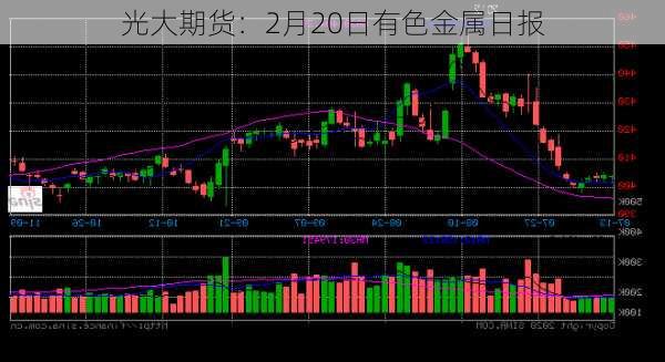 光大期货：2月20日有色金属日报-第2张图片-苏希特新能源