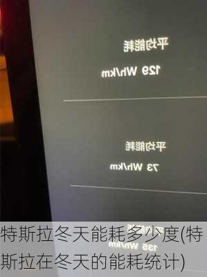 特斯拉冬天能耗多少度(特斯拉在冬天的能耗统计)-第2张图片-苏希特新能源