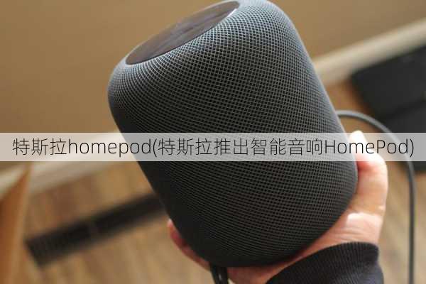 特斯拉homepod(特斯拉推出智能音响HomePod)-第2张图片-苏希特新能源