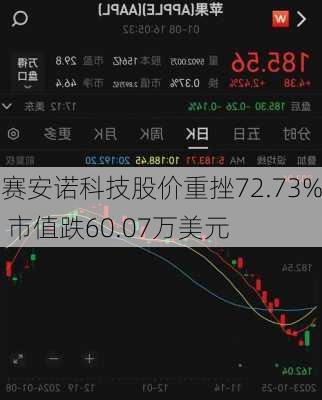 赛安诺科技股价重挫72.73% 市值跌60.07万美元-第3张图片-苏希特新能源