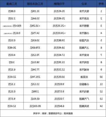 理想汽车it部门工资多少，理想汽车待遇薪酬体系）-第2张图片-苏希特新能源