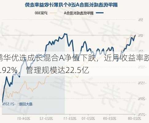 鹏华优选成长混合A净值下跌，近月收益率跌13.92%，管理规模达22.5亿