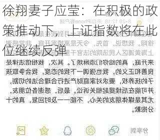 徐翔妻子应莹：在积极的政策推动下，上证指数将在此位继续反弹