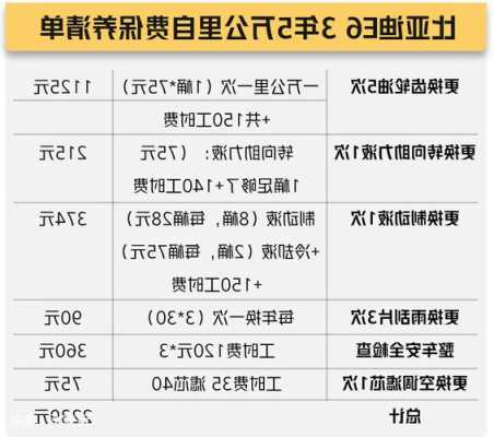 比亚迪电车在哪保养好（比亚迪电动车保养项目）