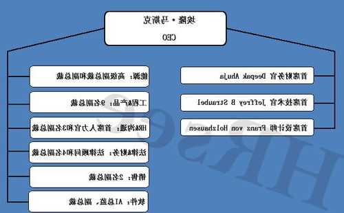 特斯拉组织框架结构_特斯拉组织文化-第3张图片-苏希特新能源