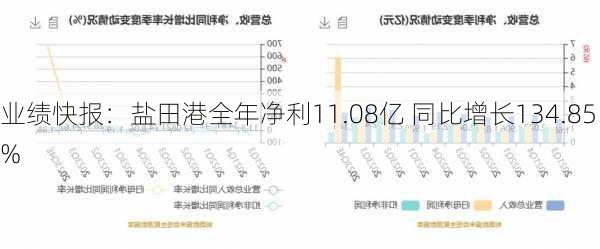 业绩快报：盐田港全年净利11.08亿 同比增长134.85%-第2张图片-苏希特新能源