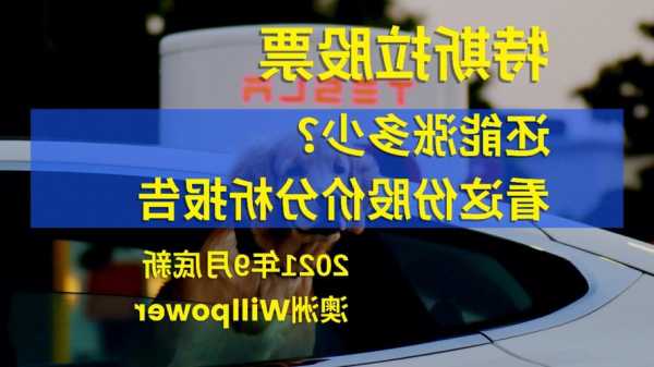 特斯拉上市分析报告（特斯拉上市股价是多少）-第1张图片-苏希特新能源