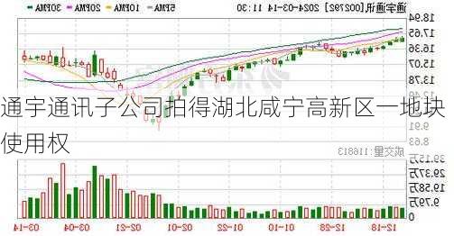 通宇通讯子公司拍得湖北咸宁高新区一地块使用权-第1张图片-苏希特新能源