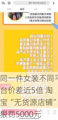 同一件女装不同平台价差近5倍 淘宝“无货源店铺”狠罚5000元-第3张图片-苏希特新能源