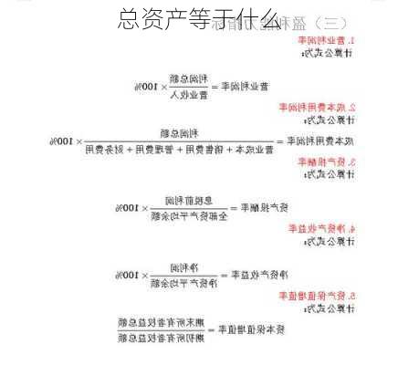 总资产等于什么-第3张图片-苏希特新能源