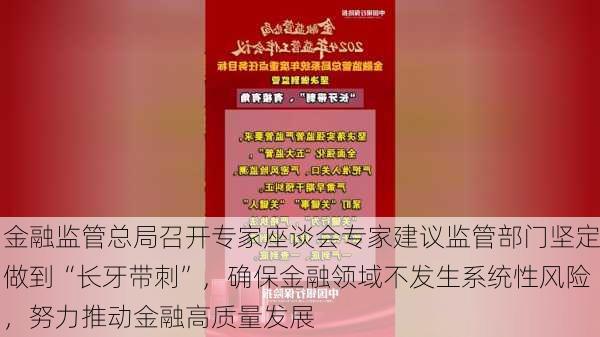 金融监管总局召开专家座谈会专家建议监管部门坚定做到“长牙带刺”，确保金融领域不发生系统性风险，努力推动金融高质量发展