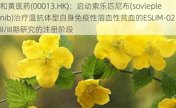 和黄医药(00013.HK)：启动索乐匹尼布(sovleplenib)治疗温抗体型自身免疫性溶血性贫血的ESLIM-02中国II/III期研究的注册阶段-第1张图片-苏希特新能源