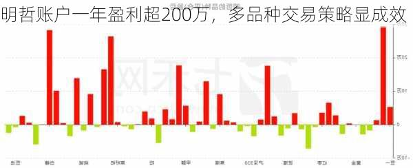 明哲账户一年盈利超200万，多品种交易策略显成效-第2张图片-苏希特新能源