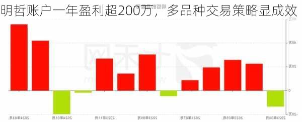 明哲账户一年盈利超200万，多品种交易策略显成效-第3张图片-苏希特新能源