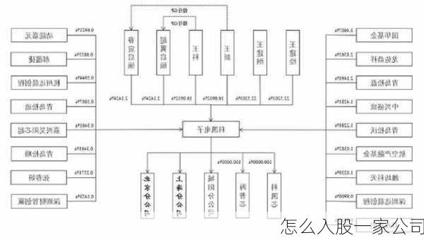 怎么入股一家公司-第3张图片-苏希特新能源