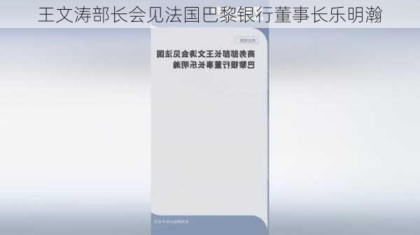 王文涛部长会见法国巴黎银行董事长乐明瀚-第2张图片-苏希特新能源