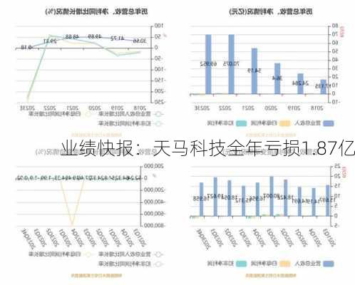 业绩快报：天马科技全年亏损1.87亿-第2张图片-苏希特新能源