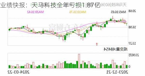 业绩快报：天马科技全年亏损1.87亿-第1张图片-苏希特新能源