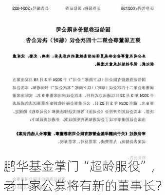 鹏华基金掌门“超龄服役”，老十家公募将有新的董事长？-第1张图片-苏希特新能源