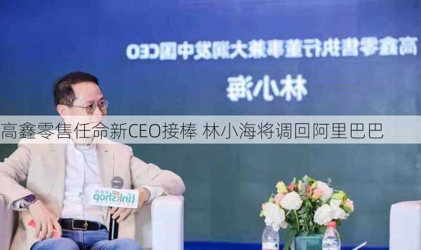 高鑫零售任命新CEO接棒 林小海将调回阿里巴巴-第1张图片-苏希特新能源