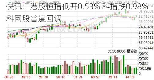 快讯：港股恒指低开0.53% 科指跌0.98%科网股普遍回调-第1张图片-苏希特新能源