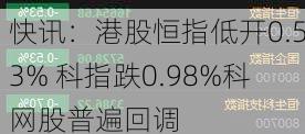 快讯：港股恒指低开0.53% 科指跌0.98%科网股普遍回调-第3张图片-苏希特新能源