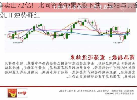 净卖出72亿！北向资金拖累A股下跌，豆粕与黄金股ETF逆势翻红-第3张图片-苏希特新能源