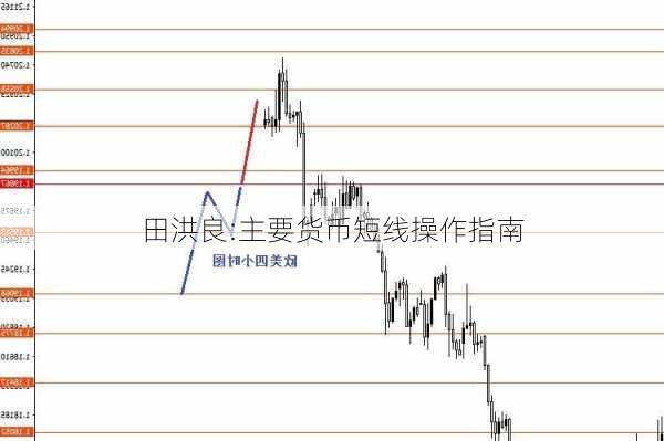 田洪良:主要货币短线操作指南-第2张图片-苏希特新能源