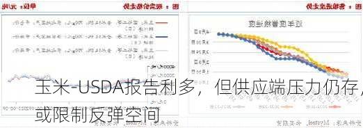 玉米-USDA报告利多，但供应端压力仍存，或限制反弹空间-第3张图片-苏希特新能源