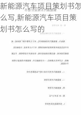 新能源汽车项目策划书怎么写,新能源汽车项目策划书怎么写的