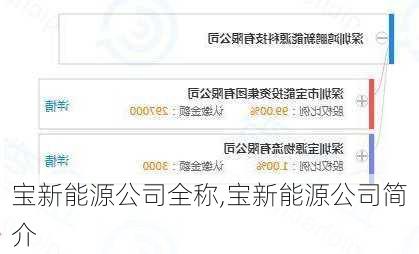 宝新能源公司全称,宝新能源公司简介-第3张图片-苏希特新能源