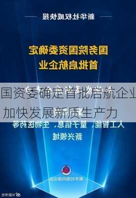 国资委确定首批启航企业 加快发展新质生产力-第2张图片-苏希特新能源