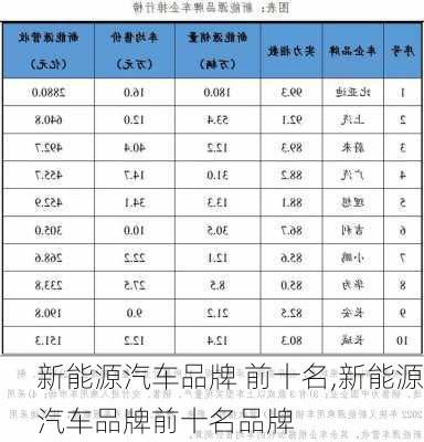 新能源汽车品牌 前十名,新能源汽车品牌前十名品牌-第1张图片-苏希特新能源