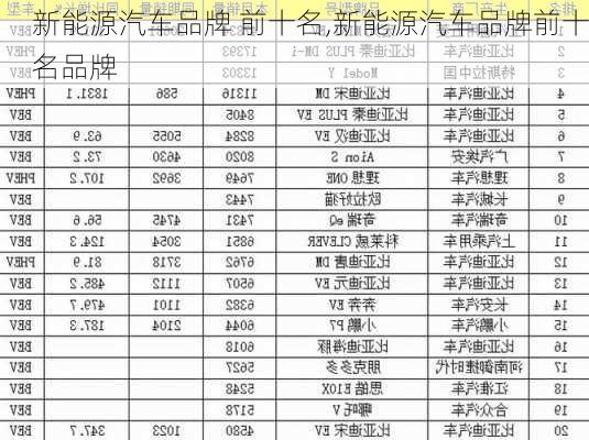 新能源汽车品牌 前十名,新能源汽车品牌前十名品牌-第2张图片-苏希特新能源