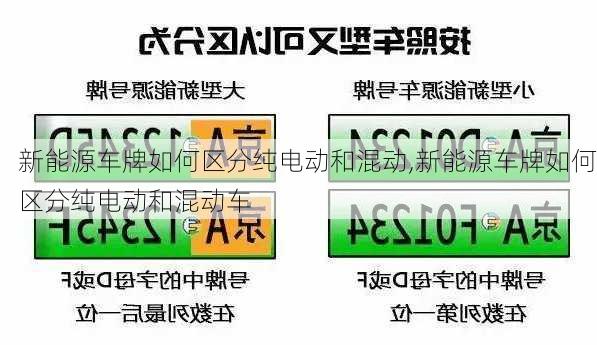 新能源车牌如何区分纯电动和混动,新能源车牌如何区分纯电动和混动车