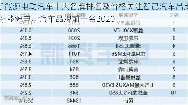 新能源电动汽车十大名牌排名及价格关注智己汽车品牌,新能源电动汽车品牌前十名2020-第3张图片-苏希特新能源