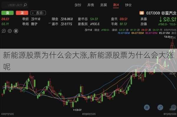 新能源股票为什么会大涨,新能源股票为什么会大涨呢-第1张图片-苏希特新能源