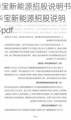 华宝新能源招股说明书,华宝新能源招股说明书pdf