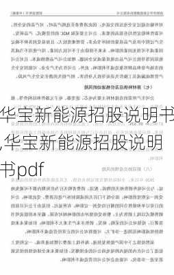 华宝新能源招股说明书,华宝新能源招股说明书pdf-第2张图片-苏希特新能源