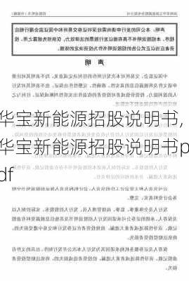 华宝新能源招股说明书,华宝新能源招股说明书pdf-第3张图片-苏希特新能源