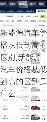 新能源汽车价格从低到高的区别,新能源汽车价格从低到高的区别是什么