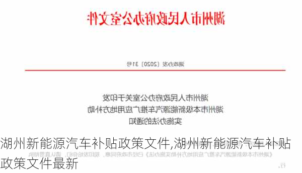 湖州新能源汽车补贴政策文件,湖州新能源汽车补贴政策文件最新-第1张图片-苏希特新能源