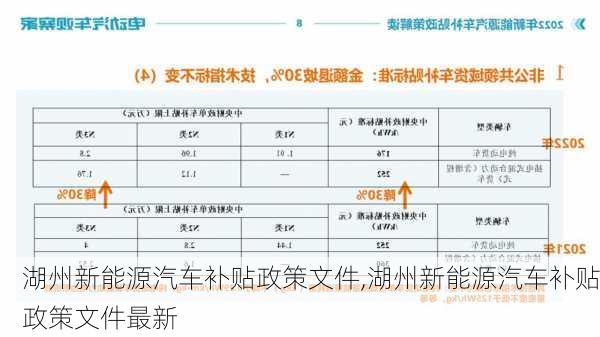 湖州新能源汽车补贴政策文件,湖州新能源汽车补贴政策文件最新-第3张图片-苏希特新能源