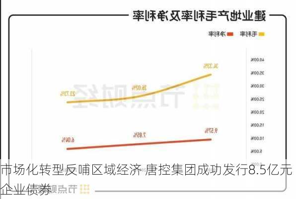 市场化转型反哺区域经济 唐控集团成功发行8.5亿元企业债券-第2张图片-苏希特新能源